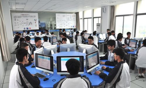 谁说专科生没出息？选对赛道，这4个专业让你前途光明